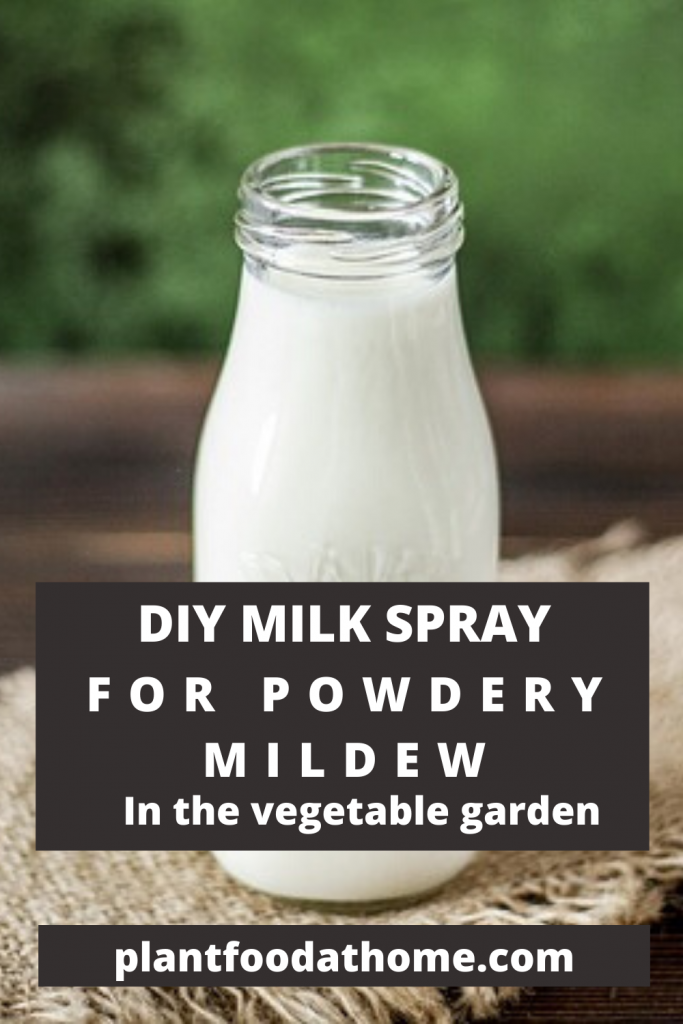 DIY Milk Spray