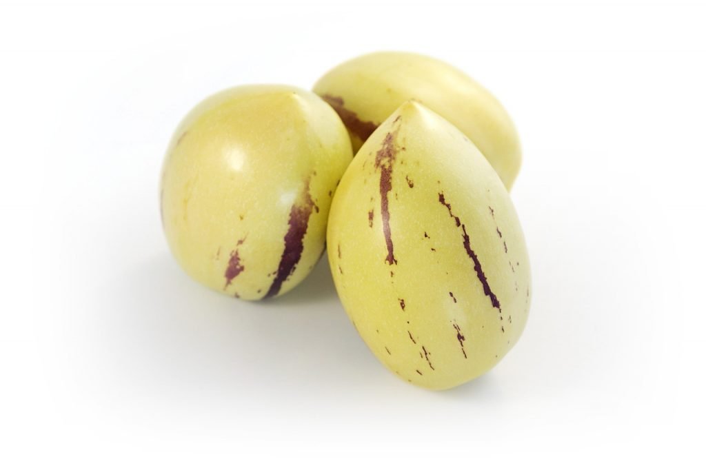 SEEDS Melon Pear Pepino Dulce Seeds "Solanum Muricatum" Pepino Melon Tree Me