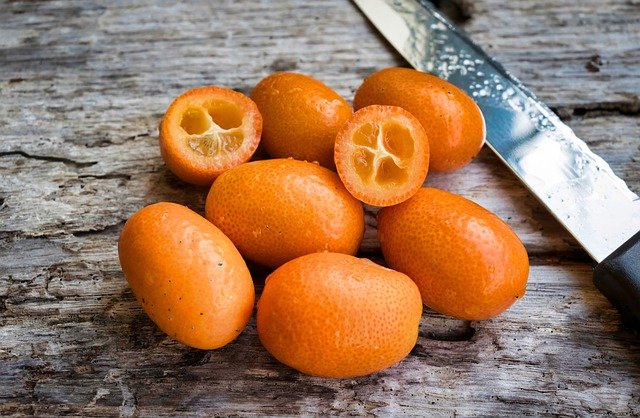 How to grow a kumquat tree - what do kumquats look like