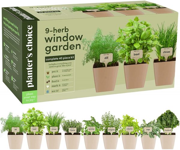 Best Indoor Herb Garden Kit 2021