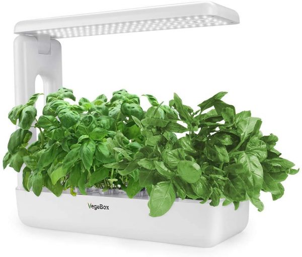 Best Indoor Herb Garden Kit 2021