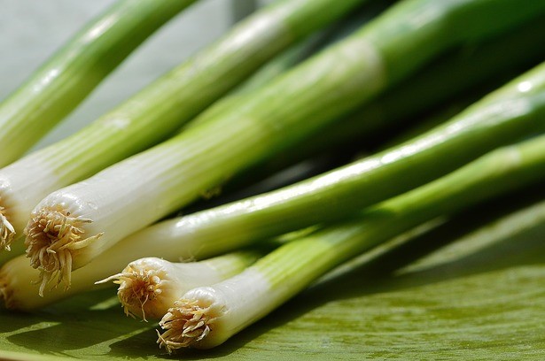 How To Regrow Green Onions - How To Regrow Food From Kitchen Scraps