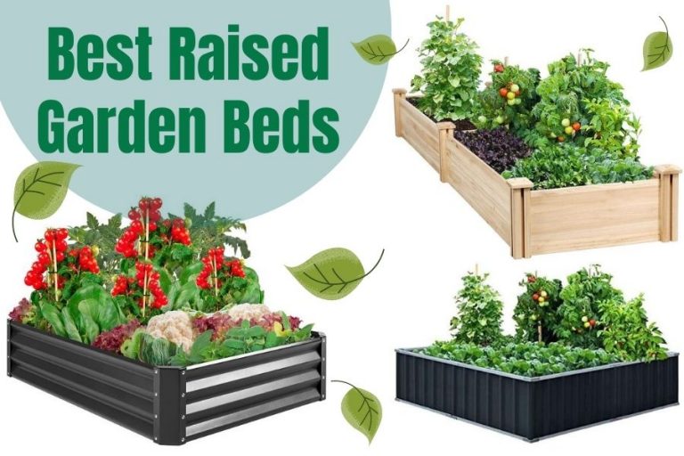 The Best Raised Garden Beds 2024
