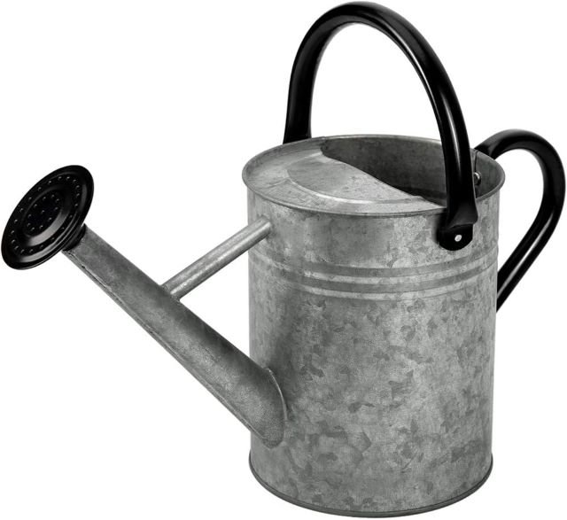 Cesun Metal Watering Can Galvanized Steel - Best Watering Cans