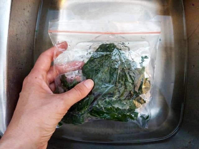 Defrosting frozen Kale - Brown Rice Kale Beet Feta Salad