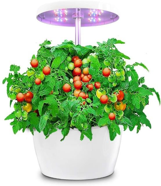 Ecoo Grower Hydroponics Growing System- Best Indoor Vegetable Garden System