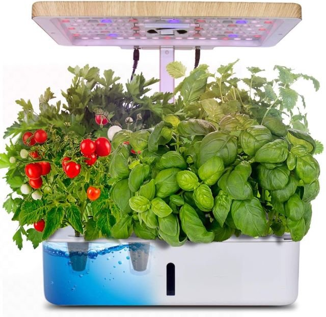 Best Indoor Vegetable Garden Growing System 2024