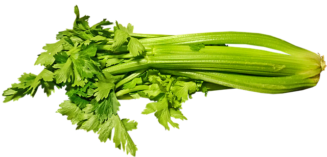 Celery - How to Grow Celery for Juicing