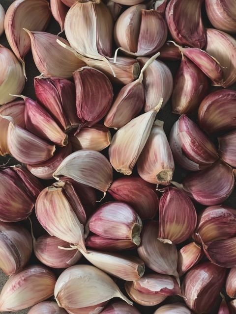 Garlic Cloves - How to Grow Garlic at Home