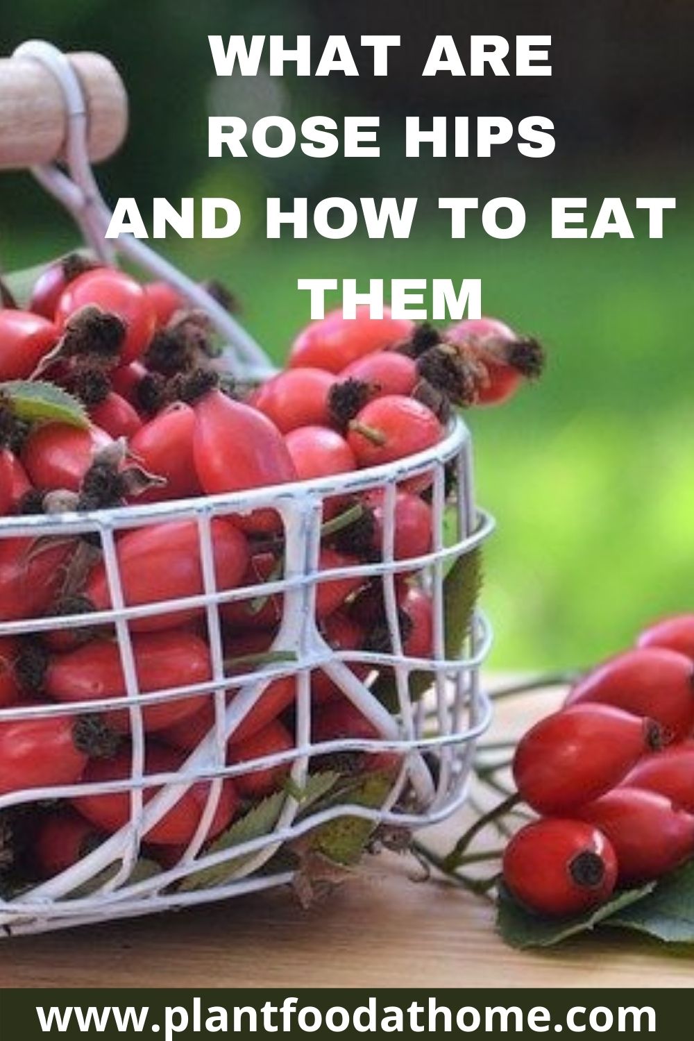 What Are Rose Hips And How To Eat Them Plant Food At Home
