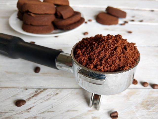 Are Coffee Grounds Good for Gardens and Plants