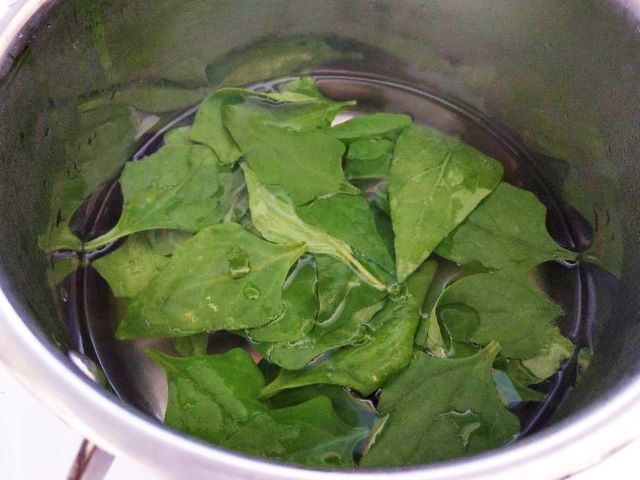 Blanch Warrigal Greens Before Eating