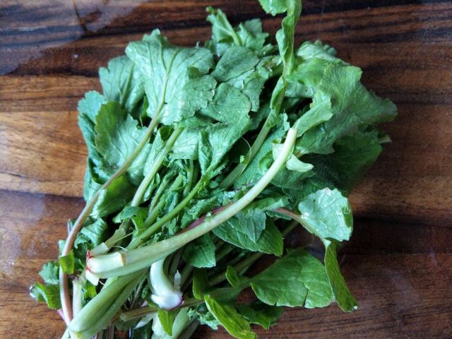 Bunch of Radish Leaves for Pickled Radish Greens Recipe