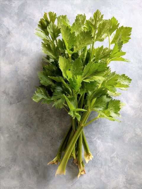 Celery Leaves - Preserving and Recipe Ideas