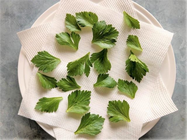 What to do with Celery Leaves - Drying Celery Leaves