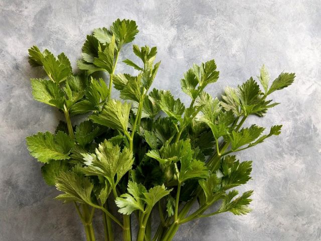 What to do with Celery Leaves - Preserving and Recipe Ideas