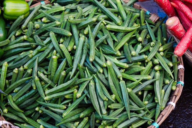 How to Grow Okra - Planting, Caring and Harvesting Okra