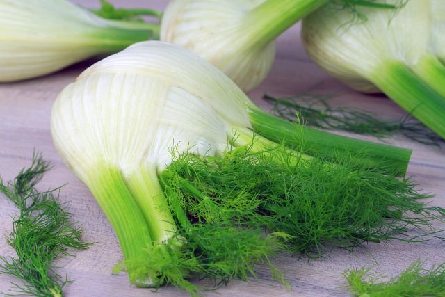Fennel Bulbs - Storing Fennel and Preserving Ideas