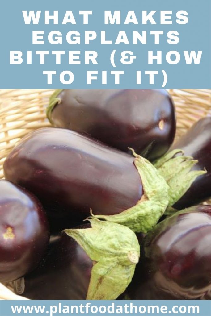 What Makes Eggplants Bitter and how to fix it