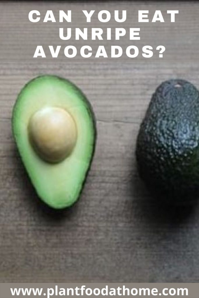 Can You Eat Unripe Avocados