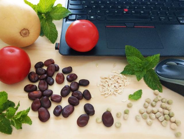 Where to Buy Seeds Online Herb Vegetable Organic and Heirloom Seeds