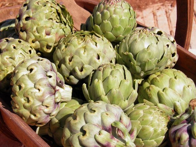 Globe Artichokes - Globe Verse Jerusalem Artichoke