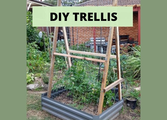 DIY Trellis - Garden Trellis
