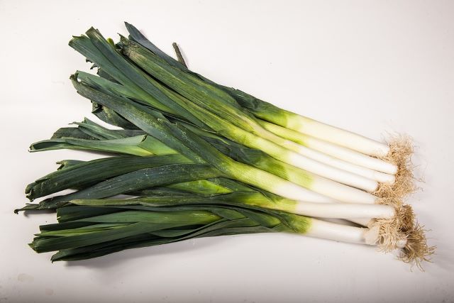 Why Are My Leeks So Thin