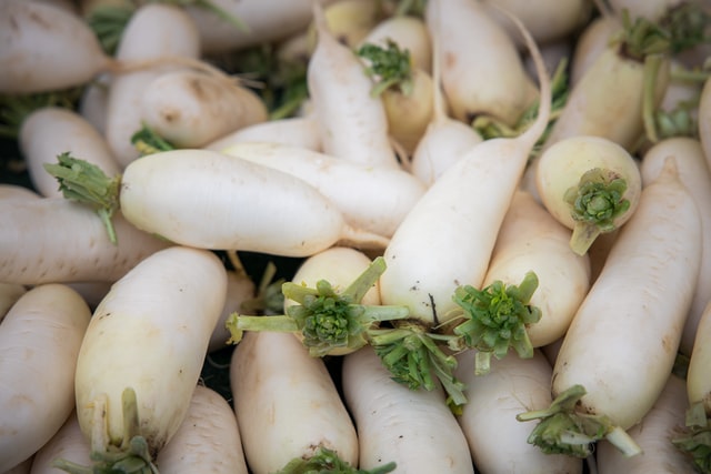Why Is My Daikon Bitter