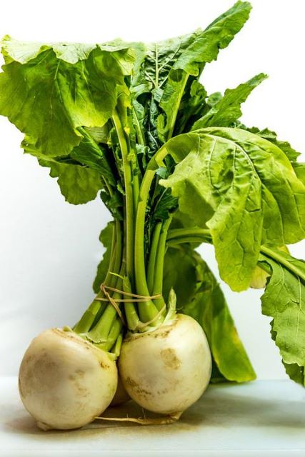 Bunch of Turnips with Leaves