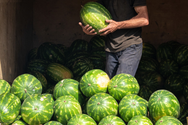 Man holding a watermelon from the storage room.