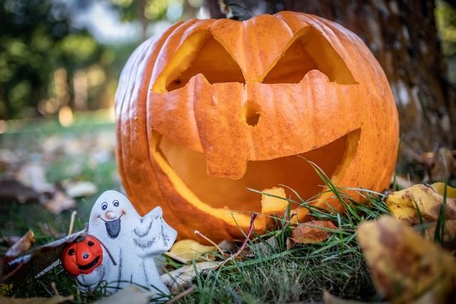Jack O'Lantern Carved Halloween Pumpkin