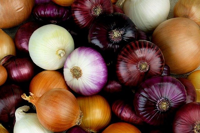 Different varieties of onions.