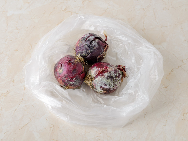 Rotten onions in a plastic bag,