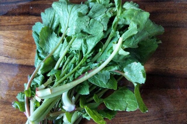 Bunch of Radish Leaves