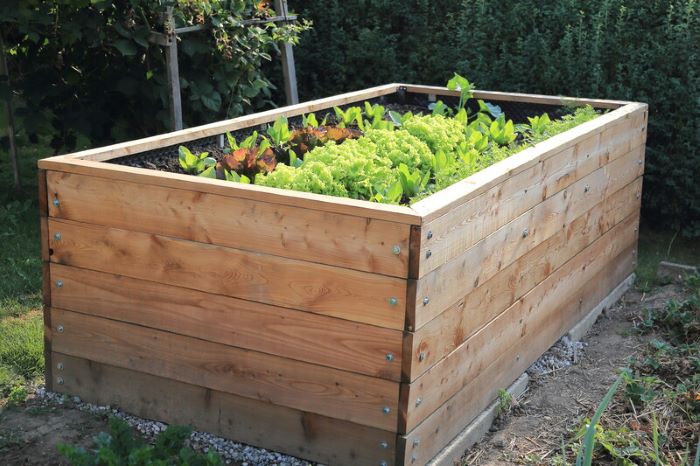 High Raised Garden Bed