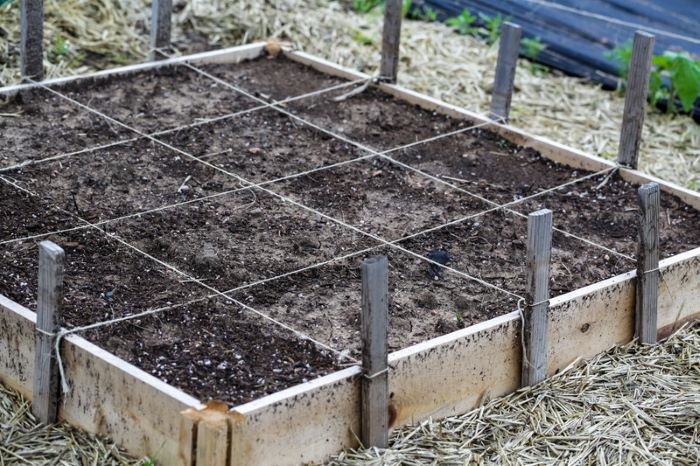 Square Foot Garden Raised Bed