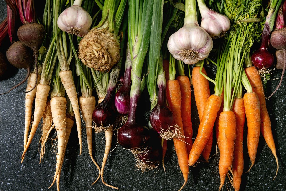 Root Crops