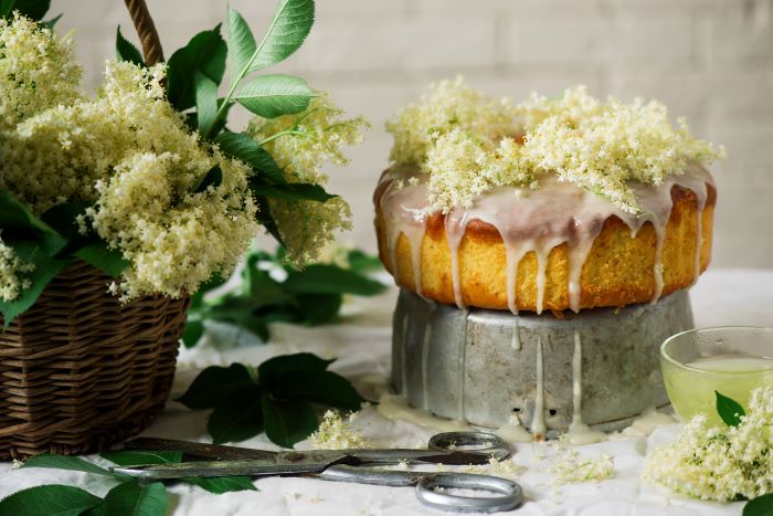 Elderflower: What it Tastes Like and How To Use Them - Plant Food At Home